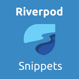 DU Flutter Riverpod Snippets
